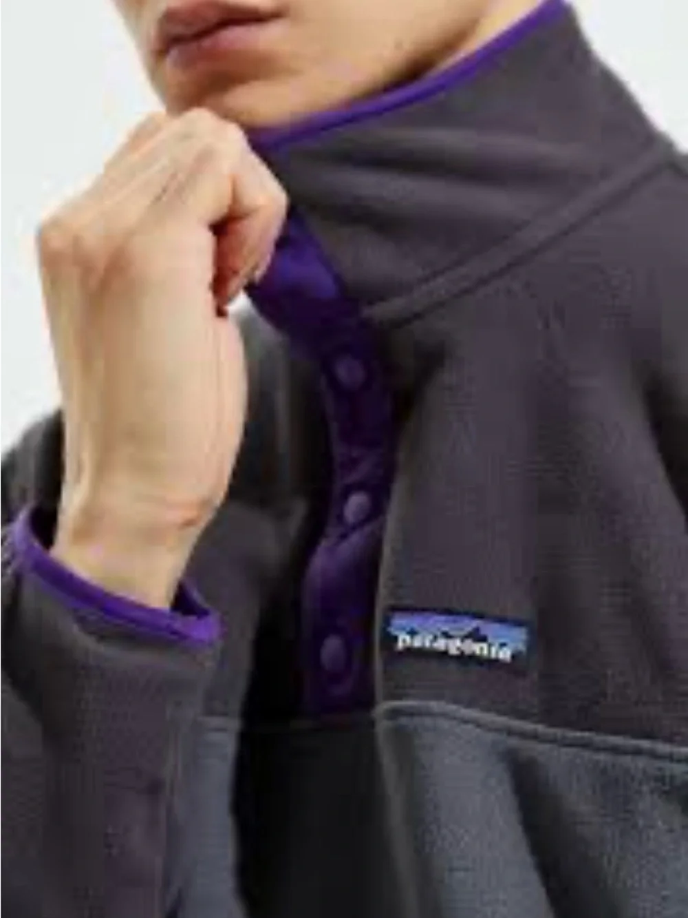 Men’s Patagonia micro fleece pullover